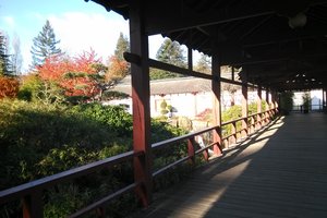 凡尔赛岛日本庭园Jardin japonais de l'Île de Versaill