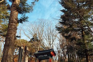 海印寺