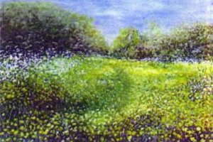 科林杰里克画廊Colin Jellicoe Gallery