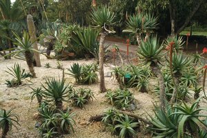 JARDIN D’ESSAIS 公园JARDIN D’ESSAIS BOTANIQUES
