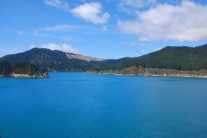 夏洛特皇后湾Queen Charlotte Sound