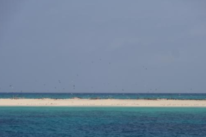 麦克拉斯沙岛Michaelmas Cay