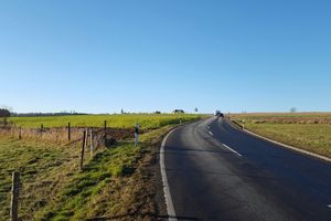 Mullerthal 徒步路线Mullerthal Trail