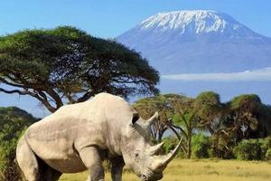 马赛马拉国家野生动物保护区Masai mara natioanl Re