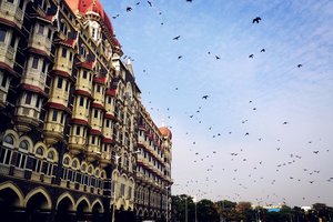 泰姬玛哈酒店Taj Mahal Palace