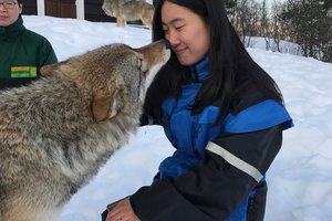 极地动物园Polar Park