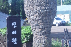神奇的道路신비의도로