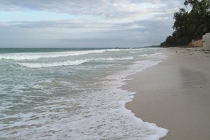 迪亚尼海滩Diani Beach