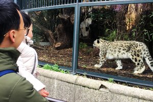 自然历史博物馆Museum d'Histoire Naturelle