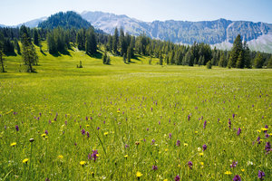 恩特勒布赫生物保护圈UNESCO Biosphere Entlebuch
