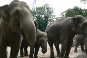 Hamburg Zoo