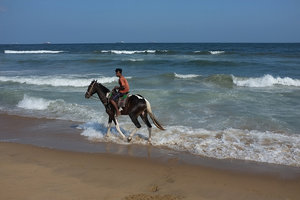 玛丽娜海滩Marina Beach