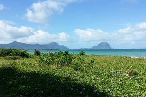 La Preneuse海滩La Preneuse Public Beach