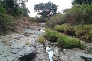 塔雷克河Talek River