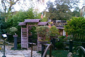 盆景博物馆Bonsai Museum