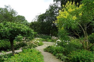 茶园The Tea Garden