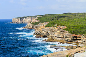 皇家国家公园Royal National Park