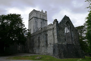 马克罗斯修道院Muckross Abbey