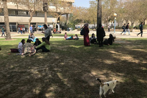 本-古里安大学Ben-Gurion University of the Negev