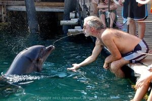 埃拉特海豚公园Dolphin Reef
