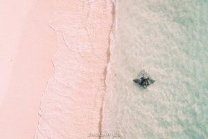 哈莫林湾Hamelin Bay Beach