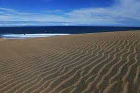 辛加东卡沙丘Sigatoka Sand Dunes