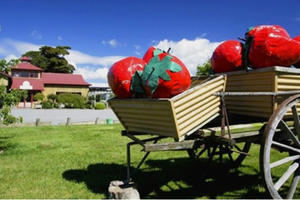 Butlers水果农场咖啡馆Butlers Fruit Farm &amp; Café