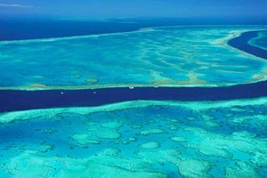 哈迪礁Hardy Reef