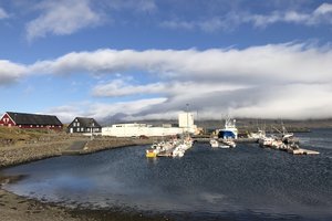 都皮沃古尔码头Habor Djúpivogur