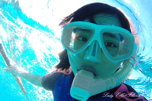 伊丽特女士岛度假村Lady Elliot Island Eco Resort