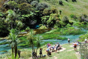 蒂怀霍步道Te Waihou Walkway