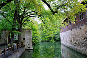 维希林城堡Burg Vischering