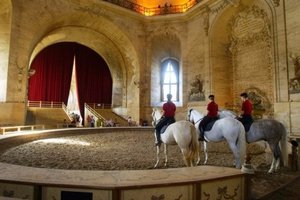马术博物馆Musée Vivant du Cheval