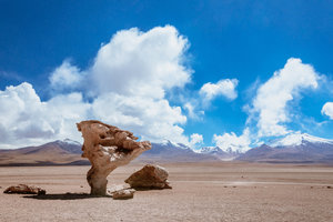 Árbol de Piedra