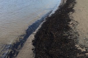 尤尔马拉Jūrmala