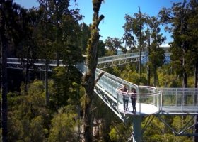 Westcoast Treetop Walk &amp; Cafe