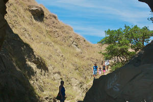 库克湾步道Cooks Cove Walkway