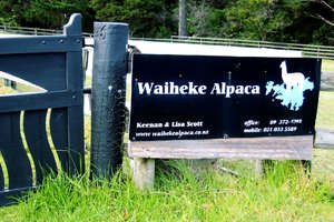 Waiheke Alpaca Farm