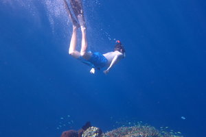 门姜岸岛Menjangan Island