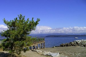 杰里科海滩Jericho Beach