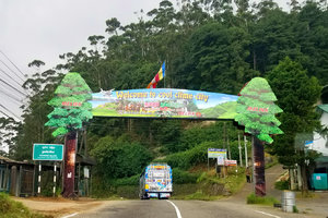 Pedro Tea Factory
