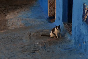 乌达雅堡Kasbah of the Udayas