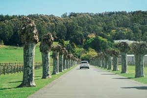 明圣庄园Mission Estate