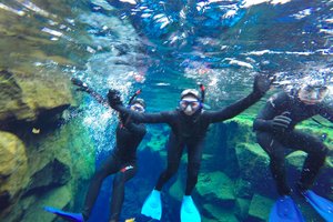冰岛大裂缝丝浮拉Silfra Diving