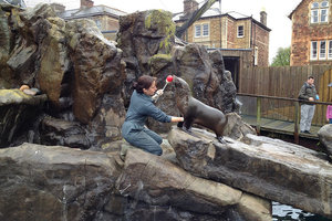 布里斯托尔动物园Bristol Zoo