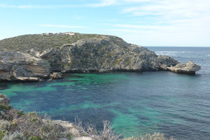 罗特尼斯岛Rottnest Island