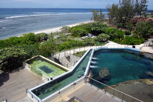 凯洛尼亚海龟观测中心Kelonia Sea Turtle Obseratory