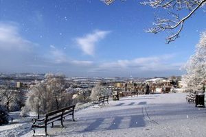 生态公园Brandon Hill Bristol