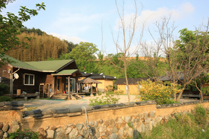 青鹤洞村