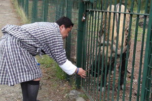 廷布塔金动物园Thimphu Takin Zoo